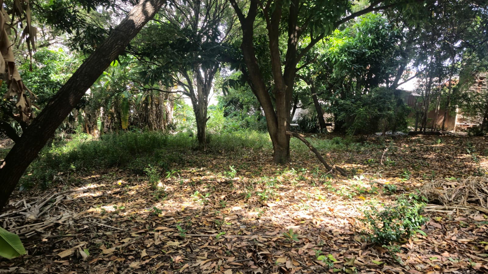 &Aacute;rea &agrave; venda com 2005 m&sup2; - Rua Aparecida  - Sorocaba - SP Rua Aparecida Sorocaba - 