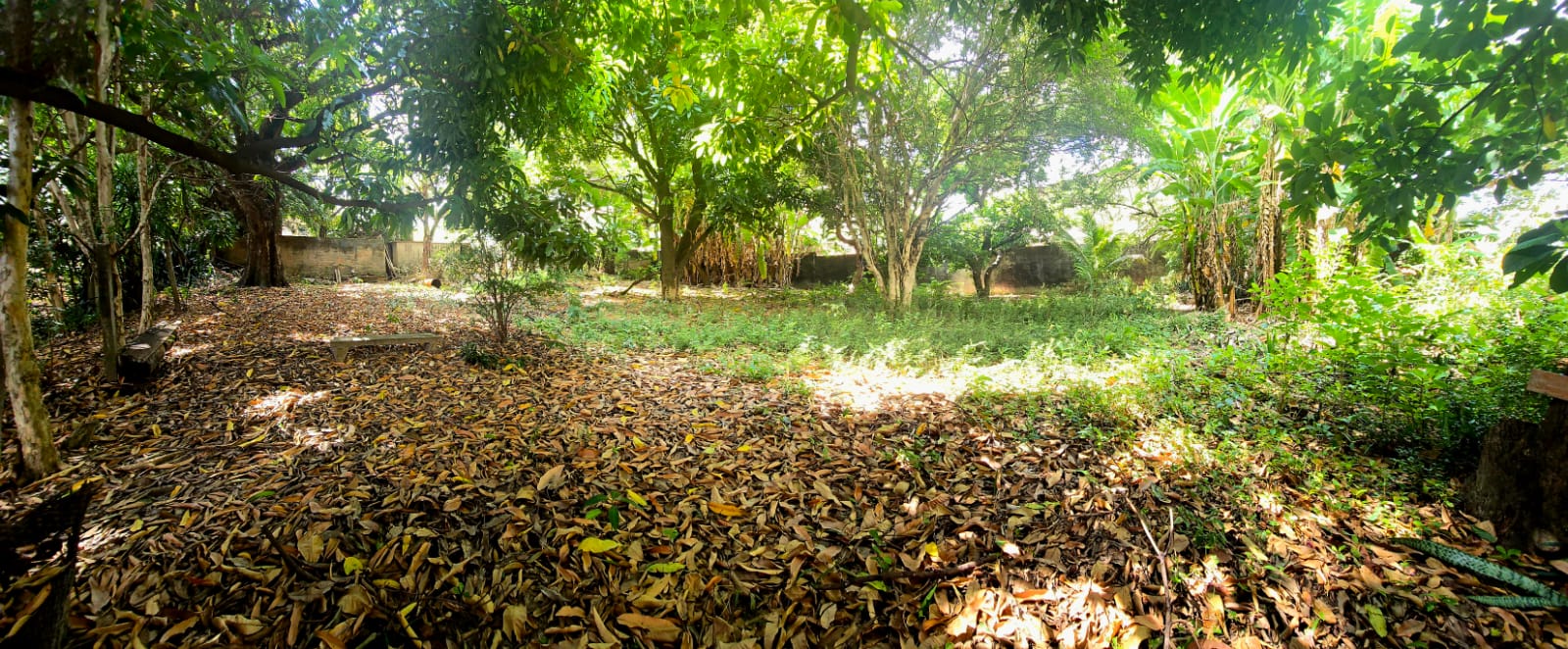 &Aacute;rea &agrave; venda com 2005 m&sup2; - Rua Aparecida  - Sorocaba - SP Rua Aparecida Sorocaba - 