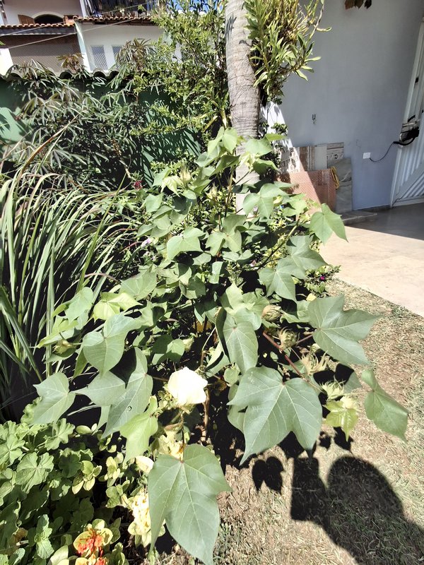 Linda Casa Térrea a Venda, ótima localização em Santana de Parnaiba - Santana de Parnaíba - 