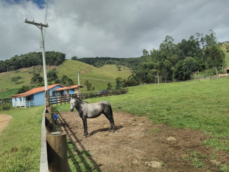 SÍTIO COM 3 HECTARES EM CUNHA, S.P - Cunha - 