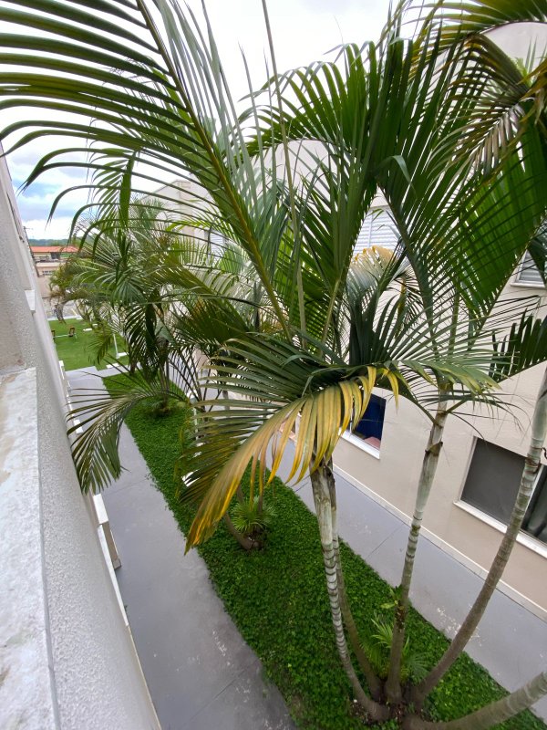 Sobrado com 2 Dormitórios em condomínio fechado - Mogi das Cruzes - 