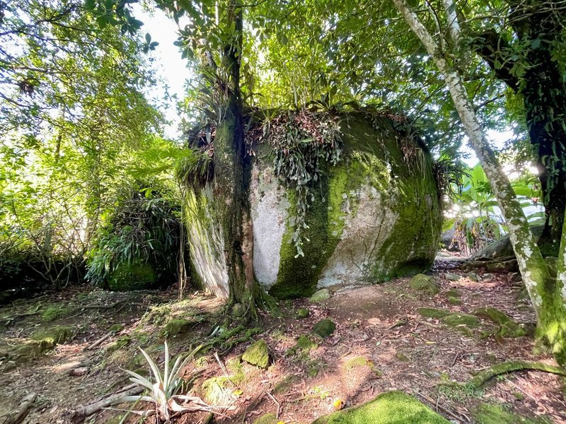 Fazenda / Sítio / Chácara com 3 Quartos à venda, 218m² - Limoeiro Rua II Guapimirim - 