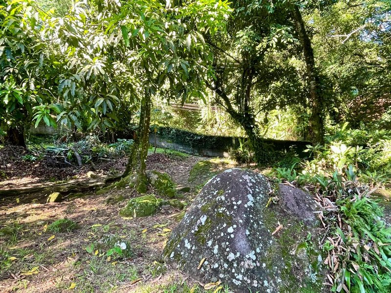 Fazenda / Sítio / Chácara com 3 Quartos à venda, 218m² - Limoeiro Rua II Guapimirim - 