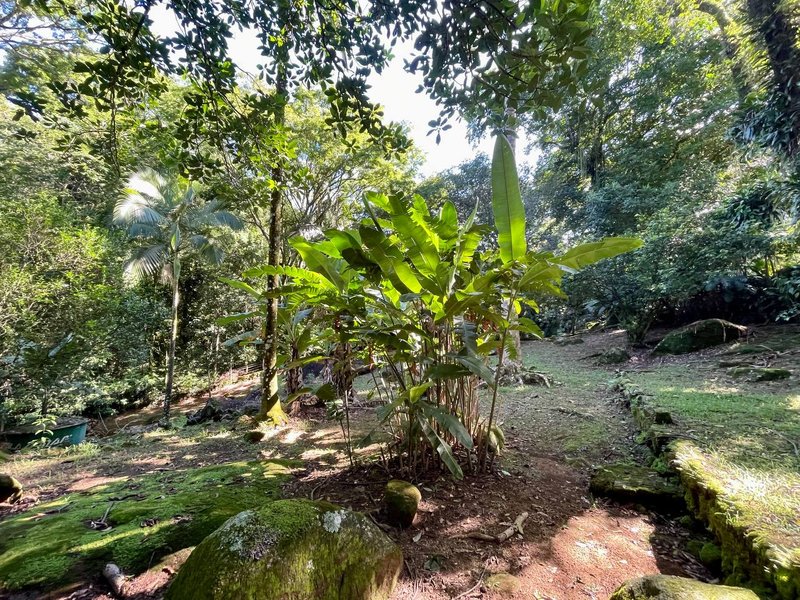 Fazenda / Sítio / Chácara com 3 Quartos à venda, 218m² - Limoeiro Rua II Guapimirim - 