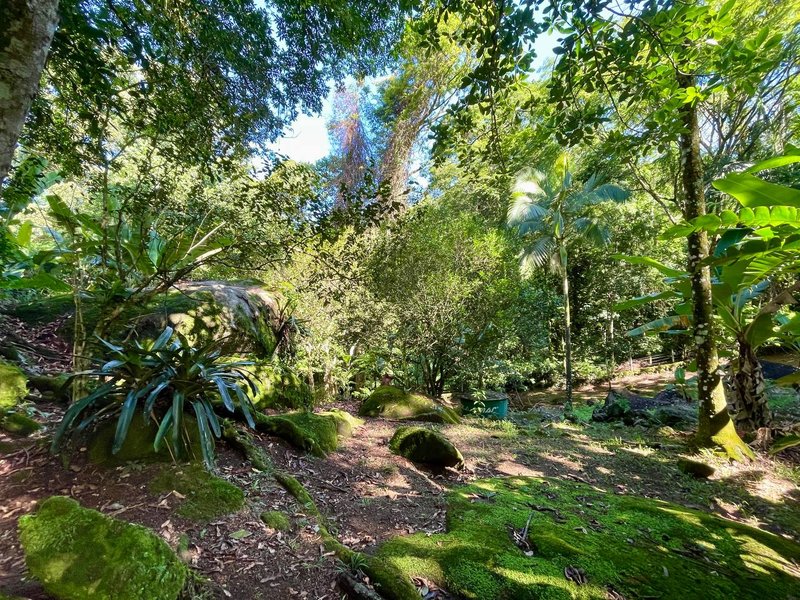 Fazenda / Sítio / Chácara com 3 Quartos à venda, 218m² - Limoeiro Rua II Guapimirim - 