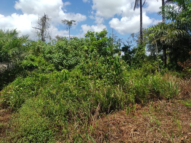 Terreno em condomínio próximo a praia de Berlinque - Ilha de Itaparica praia de berlink VERA CRUZ - 