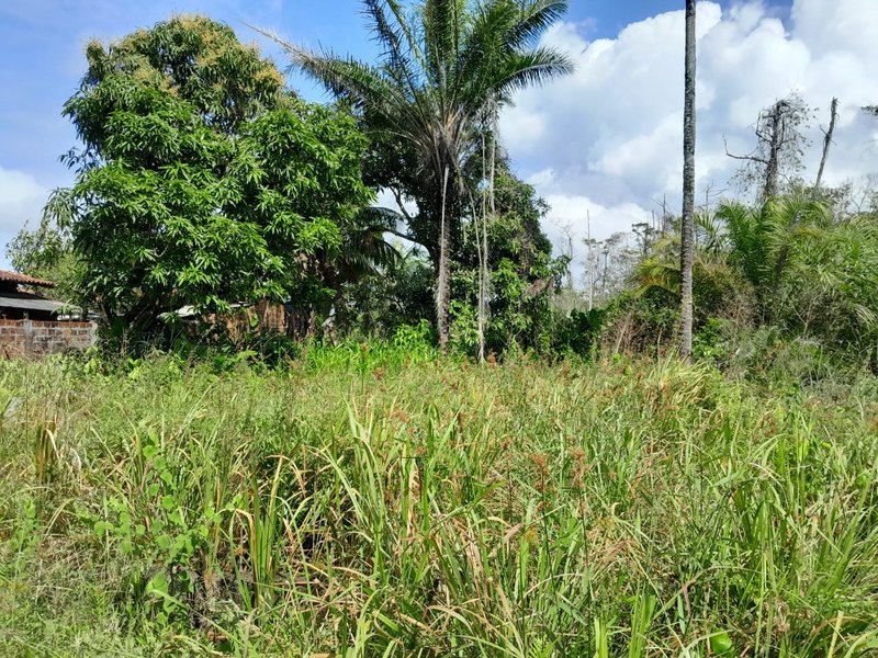 Terreno em condomínio próximo a praia de Berlinque - Ilha de Itaparica praia de berlink VERA CRUZ - 