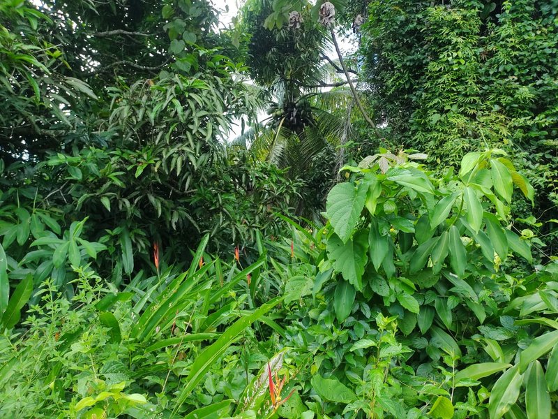 Terreno em condomínio próximo a praia de Berlinque - Ilha de Itaparica praia de berlink VERA CRUZ - 
