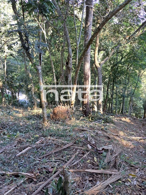 Terreno | 1870m² | Nogueira | Petrópolis Avenida Country Club Petrópolis - 