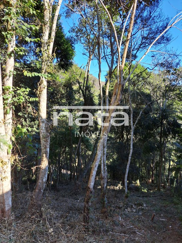 Terreno | 1870m² | Nogueira | Petrópolis Avenida Country Club Petrópolis - 