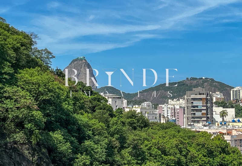 Apartamento de 3 Quartos à venda em Laranjeiras com vista para o Pão de Açúcar Rua Pereira da Silva Rio de Janeiro - 