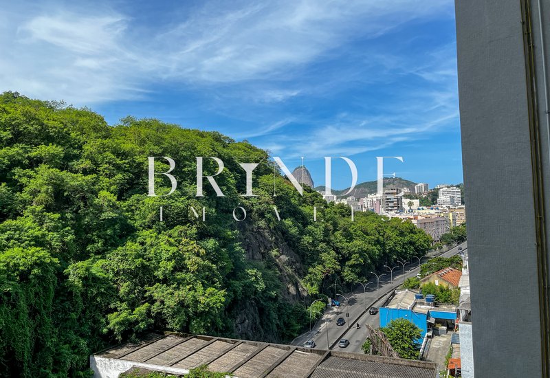 Apartamento de 3 Quartos à venda em Laranjeiras com vista para o Pão de Açúcar Rua Pereira da Silva Rio de Janeiro - 
