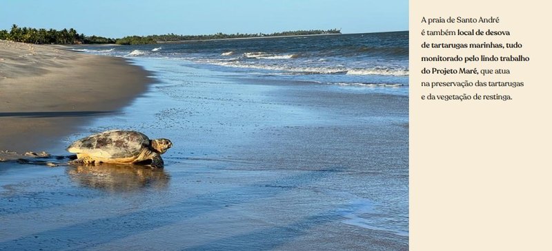 Condomínio Sítio Paraíso em Santo André no Sul da Bahia Pé na areia  Santa Cruz Cabrália - 