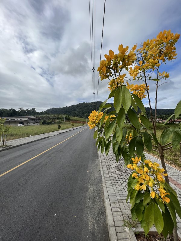Terreno 360,00 m² - Timbó - 
