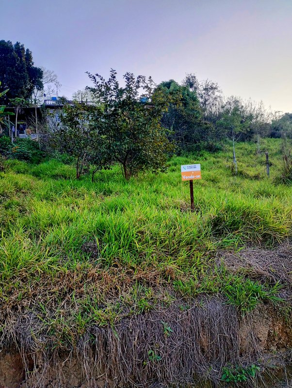 Terreno com ótima topografia à venda no Parque Alpina - Igaratá - 