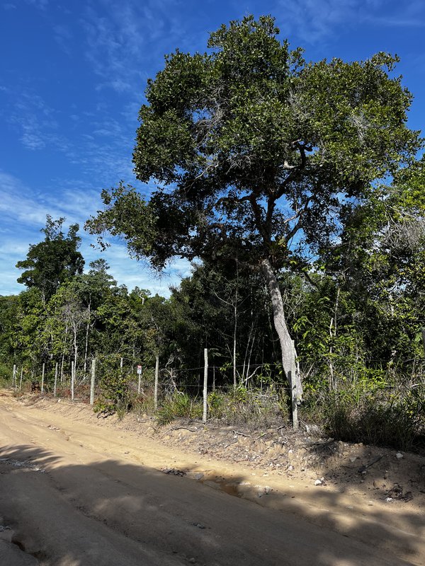 Terreno próximo da praia / bairro corais do arraial Balcão da lua  Porto Seguro - 