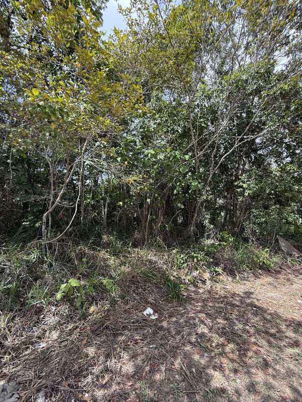 Terreno 310 m2 Villas II Mirindiba Porto Seguro - 