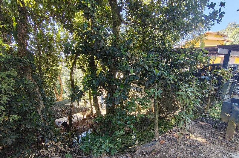 VENDE-SE LINDA CASA 606M2 TERRENO 130M2 CONSTRUIDOS - LINDA - ACEITA FINANCIAMENTO Alameda dos Jacarandás Ilhabela - 