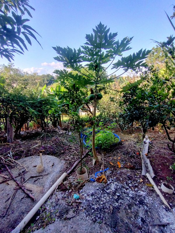 Casa-sobrado à venda no Parque Alpina - Igaratá - 