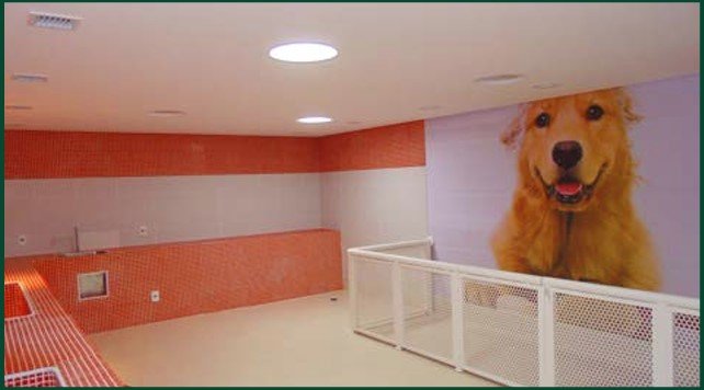 Apartamento com 76,10m² em Barueri com 03 dorm 1 suíte 2 vagas Avenida Sebastião Davino dos Reis Barueri - 