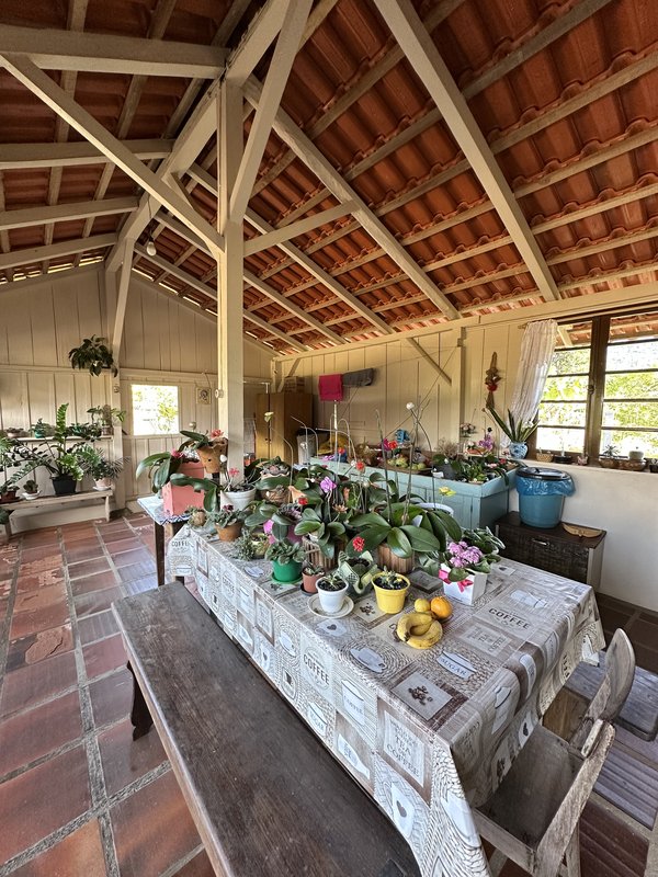 Sítio à venda em Rio dos Cedros com 6.000m². Aceita permuta por casa em Timbó! - RIO DOS CEDROS - 