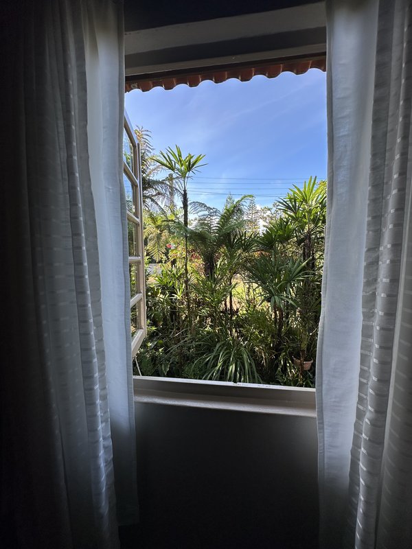 Sítio à venda em Rio dos Cedros com 6.000m². Aceita permuta por casa em Timbó! - RIO DOS CEDROS - 
