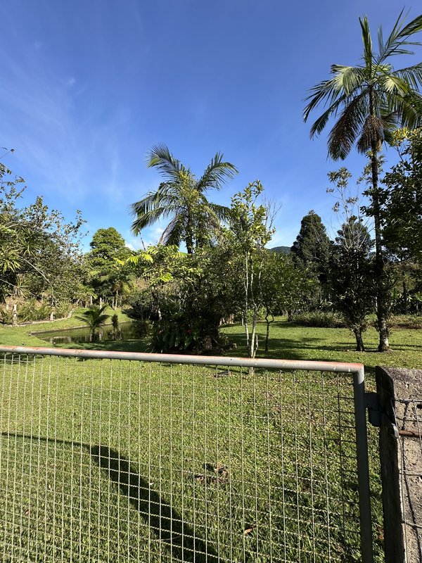 Sítio à venda em Rio dos Cedros com 6.000m². Aceita permuta por casa em Timbó! - RIO DOS CEDROS - 