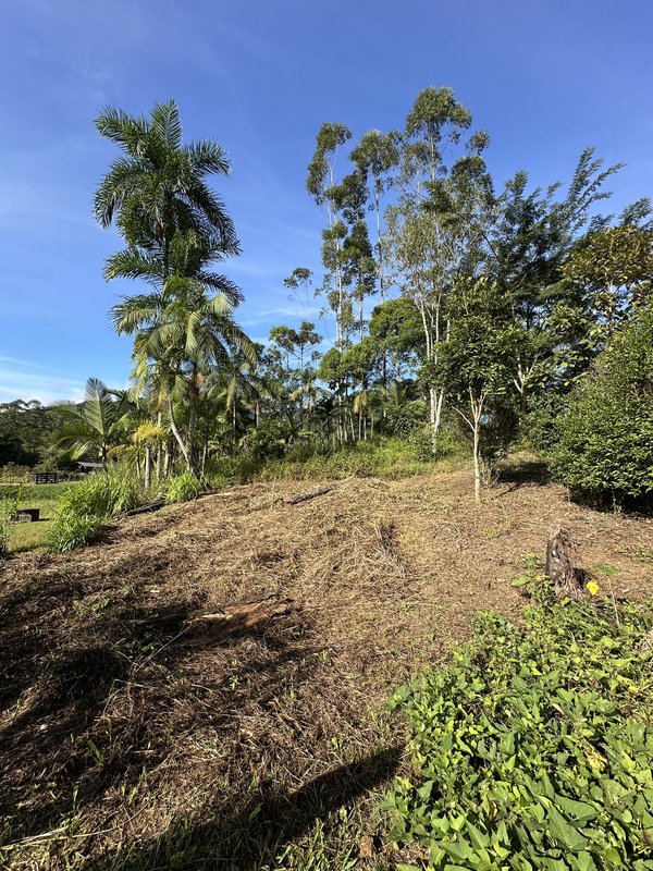 Sítio à venda em Rio dos Cedros com 6.000m². Aceita permuta por casa em Timbó! - RIO DOS CEDROS - 
