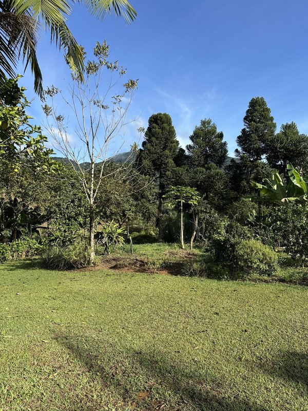 Sítio à venda em Rio dos Cedros com 6.000m². Aceita permuta por casa em Timbó! - RIO DOS CEDROS - 