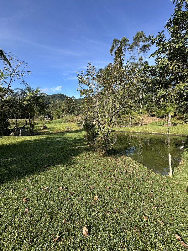 Sítio à venda em Rio dos Cedros com 6.000m². Aceita permuta por casa em Timbó! - RIO DOS CEDROS - 