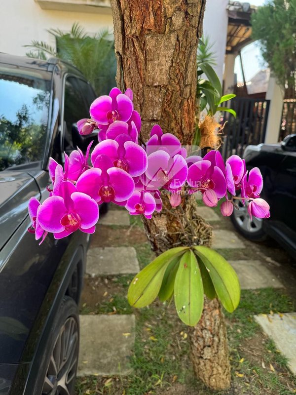 Casa a venda totalmente mobiliada, completíssima!! Rua Pau Sul Camaçari - 