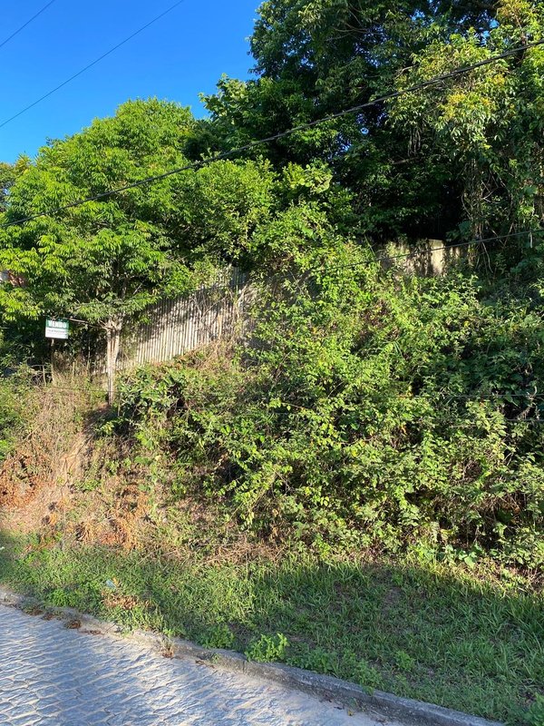 Terreno Vilas do Arraial Vilas Porto Seguro - 
