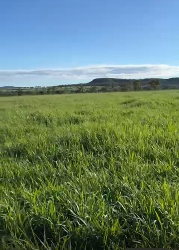 Fazenda em Ponte Alta do Tocantins - TO To PONTE ALTA DO TOCANTINS - 