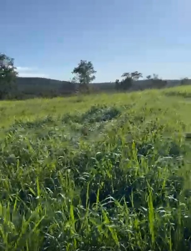 Fazenda em Ponte Alta do Tocantins - TO To PONTE ALTA DO TOCANTINS - 