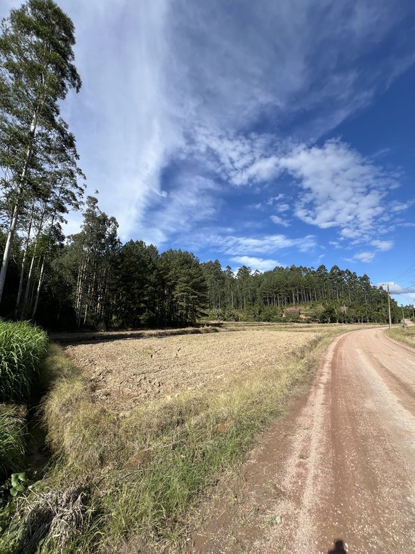 Terreno 65.989,86 m² - DOUTOR PEDRINHO - 