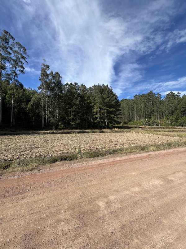 Terreno 65.989,86 m² - DOUTOR PEDRINHO - 