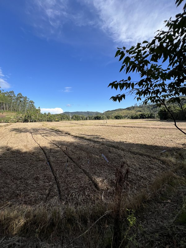 Terreno 65.989,86 m² - DOUTOR PEDRINHO - 