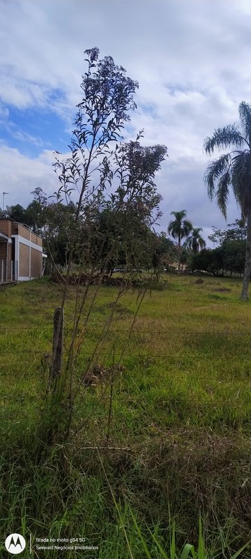 ✔️ Lindo terreno em Presidente Lucena - Presidente Lucena - 