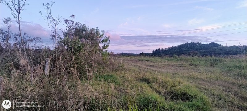 ✔️ Linda Área de terras em Presidente Lucena - Presidente Lucena - 