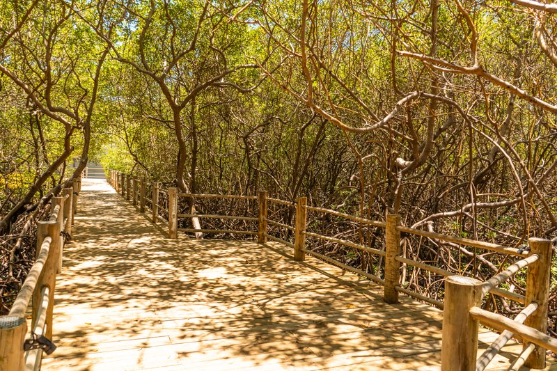 Villas Alto de Trancoso Villas Alto de Trancoso Porto Seguro - 