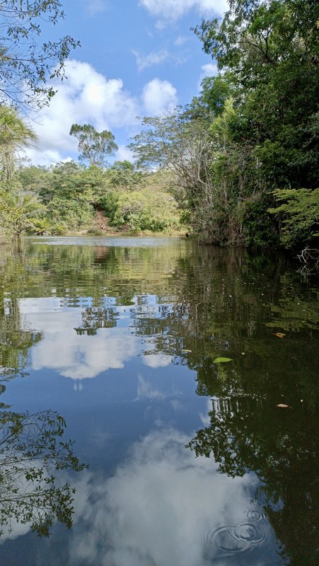 Chácaras - Refúgio Boa Esperança | SUSTENTABILIDADE ROD TRANCOSO ARRAIAL Porto Seguro - 