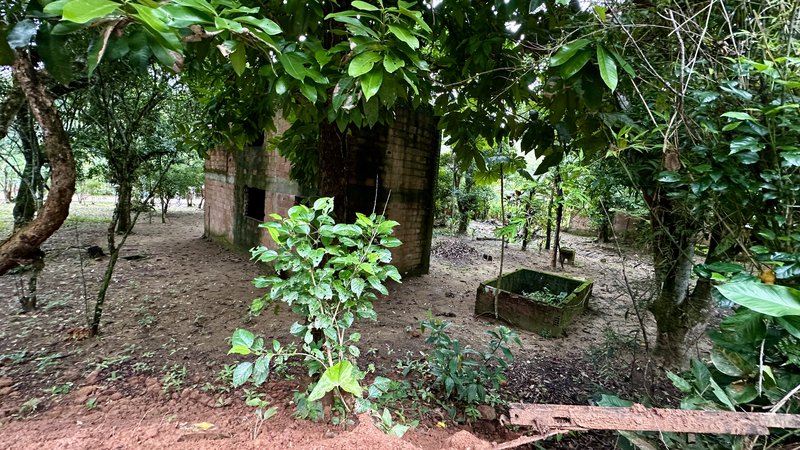 🏡 Oportunidade Exclusiva: 3 Lotes à Venda Juntos – Jardim Santa Cláudia, Guapimirim/RJ Rua C Guapimirim - 