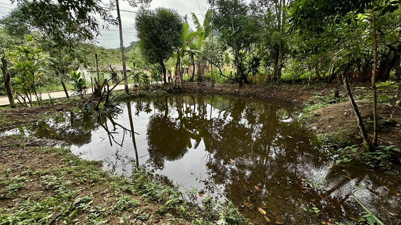 🏡 Oportunidade Exclusiva: 3 Lotes à Venda Juntos – Jardim Santa Cláudia, Guapimirim/RJ Rua C Guapimirim - 