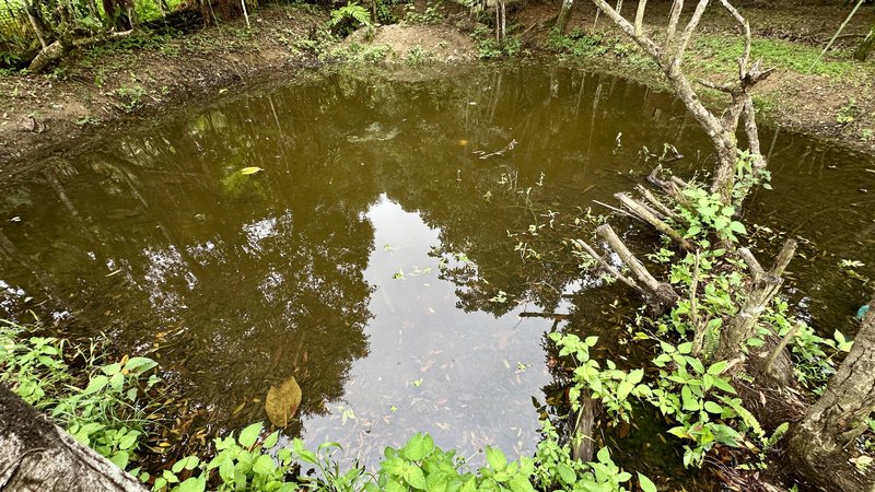 🏡 Oportunidade Exclusiva: 3 Lotes à Venda Juntos – Jardim Santa Cláudia, Guapimirim/RJ Rua C Guapimirim - 
