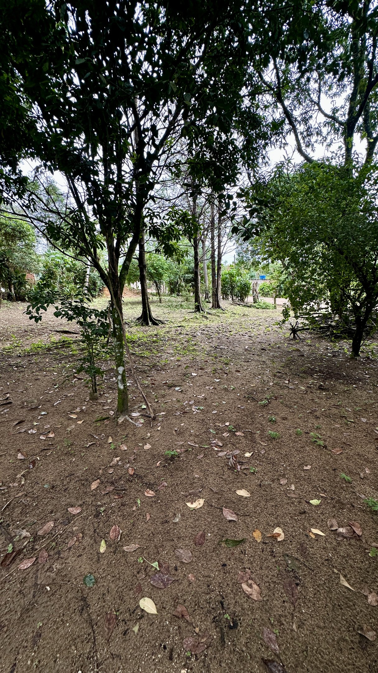 Casa à venda com 1 quarto, 40m² - Foto 29