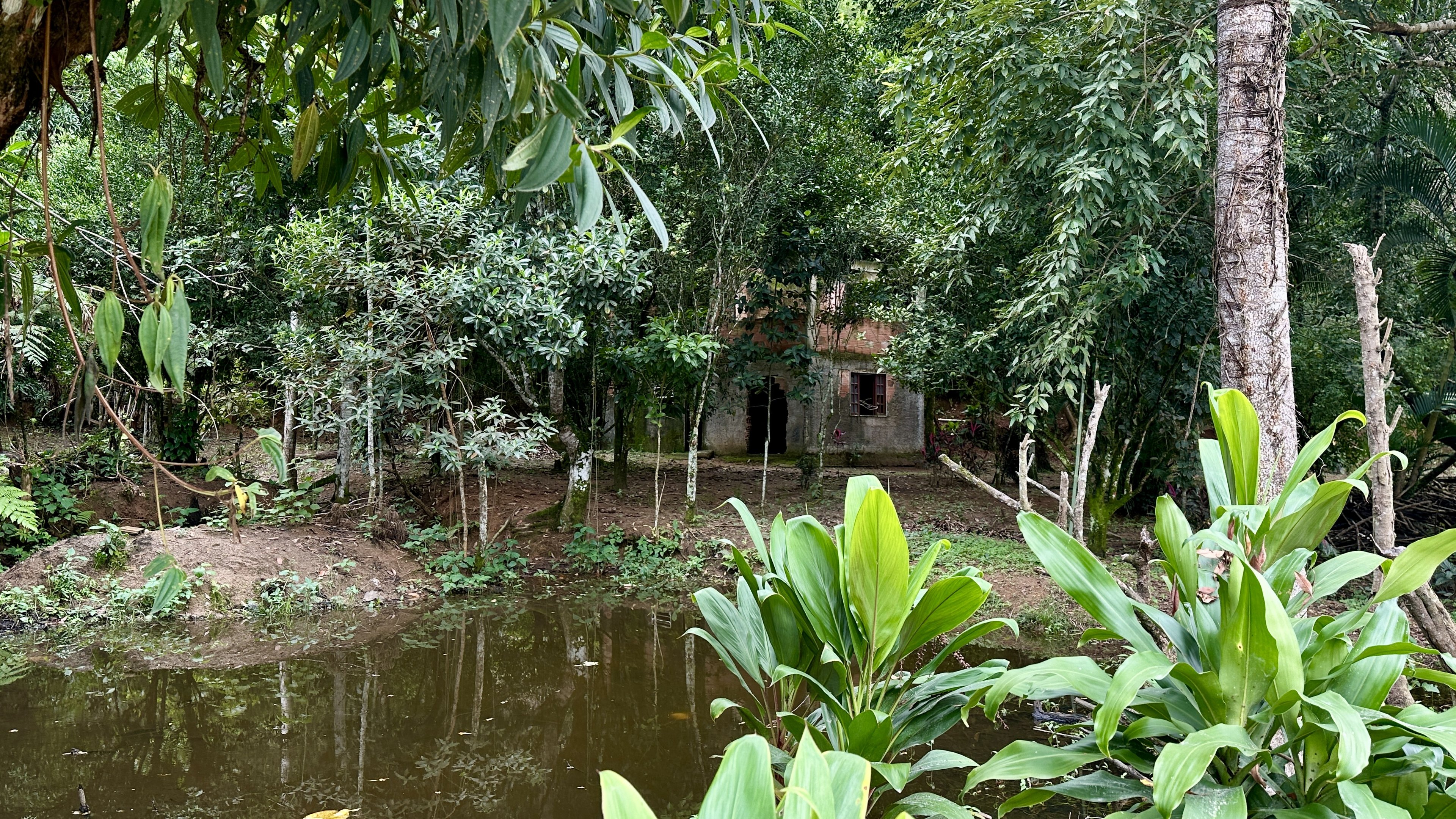 Casa à venda com 1 quarto, 40m² - Foto 41