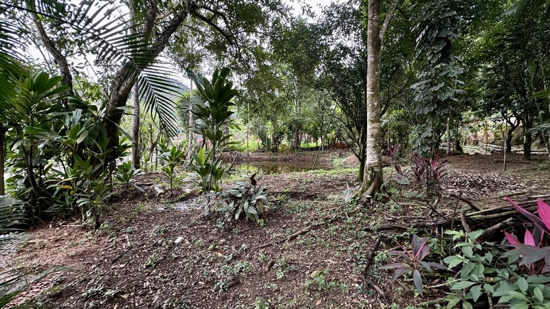 🏡 Oportunidade Exclusiva: 3 Lotes à Venda Juntos – Jardim Santa Cláudia, Guapimirim/RJ Rua C Guapimirim - 