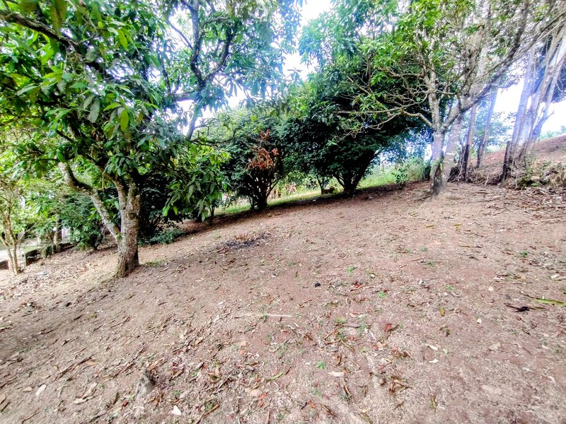Sobrado à venda no Parque Alpina - Igaratá - 