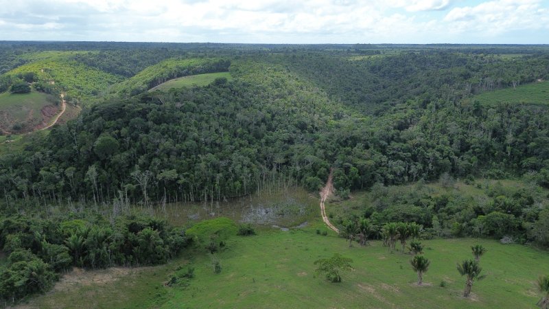 Fazenda 47 hectares em Santa Cruz Cabrália Cabrália Santa Cruz Cabrália - 