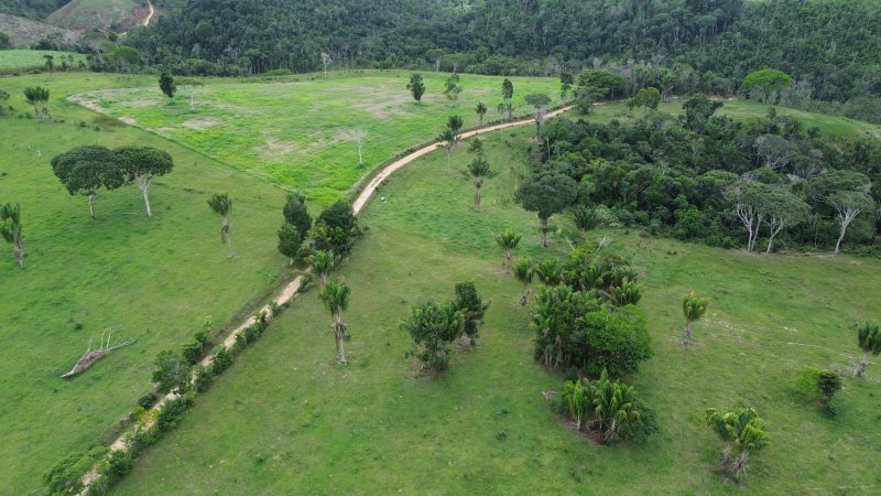 Fazenda 47 hectares em Santa Cruz Cabrália Cabrália Santa Cruz Cabrália - 